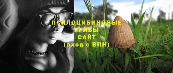 гидра Михайловск
