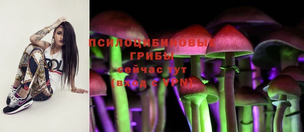 apvp Михайловка