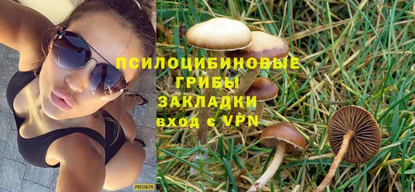 бошки Михайлов