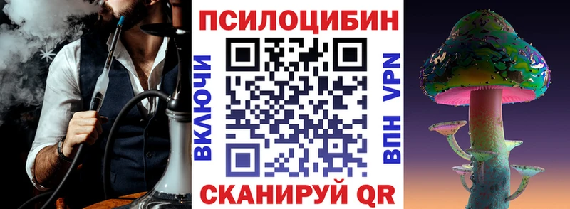 Псилоцибиновые грибы MAGIC MUSHROOMS  магазин продажи наркотиков  Приволжск 